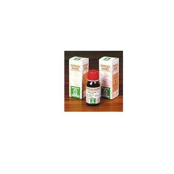 PILOSELLA 20 50ML TM