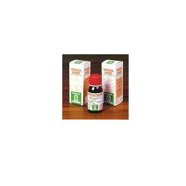 ARTIGLIO DEL DIAVOLO 35 TM50ML