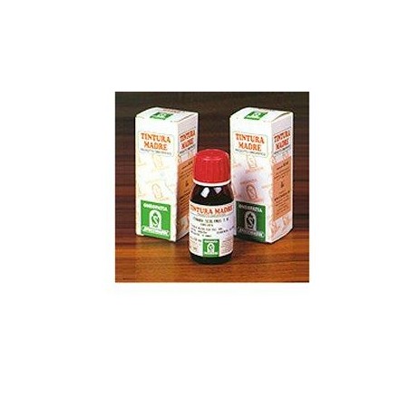 ARTIGLIO DEL DIAVOLO 35 TM50ML