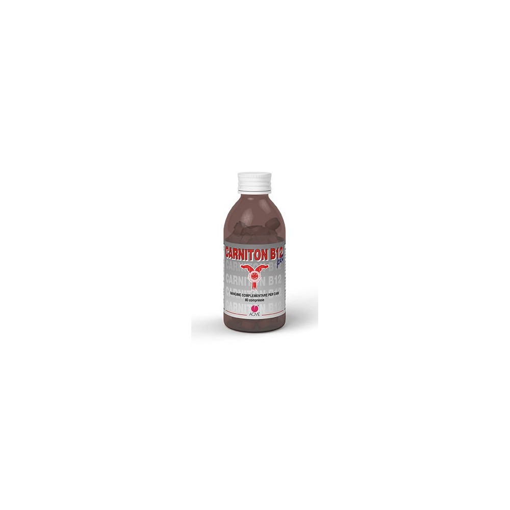 CARNITON B 12 80CPR