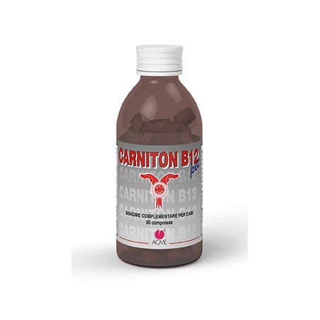 CARNITON B 12 80CPR